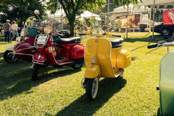 Découvrez comment dénicher les meilleures affaires dans l'univers de la mode !