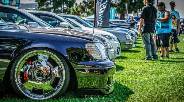 Broches abeilles : l'élégance à petits prix pour tous !